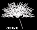 CCEPESE logo
